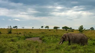 Travel view of Africa Safari