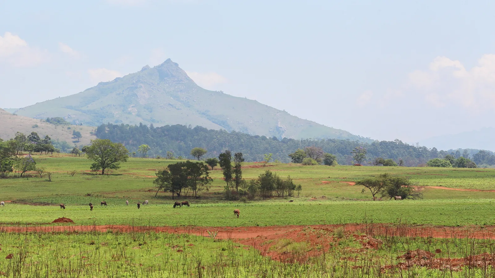Travel view of Eswatini