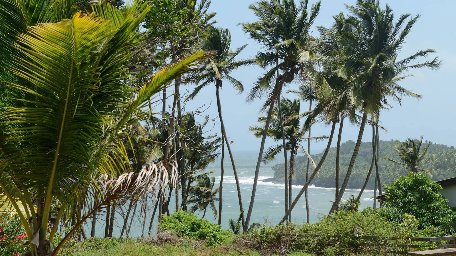 Travel view of French Guiana