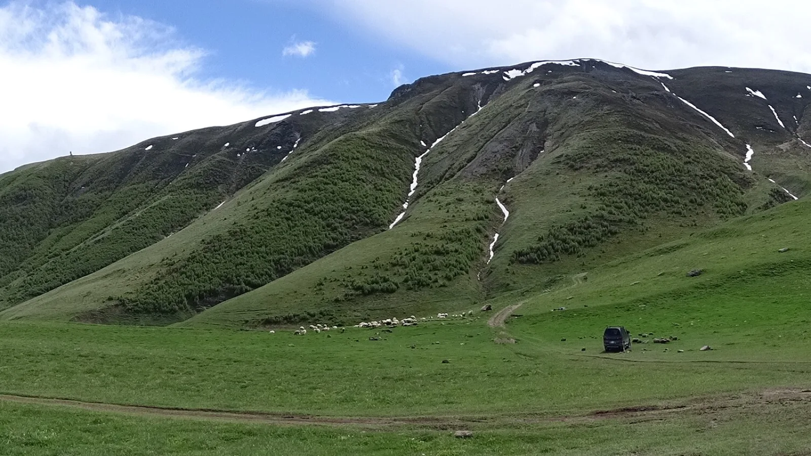 Travel view of Georgia