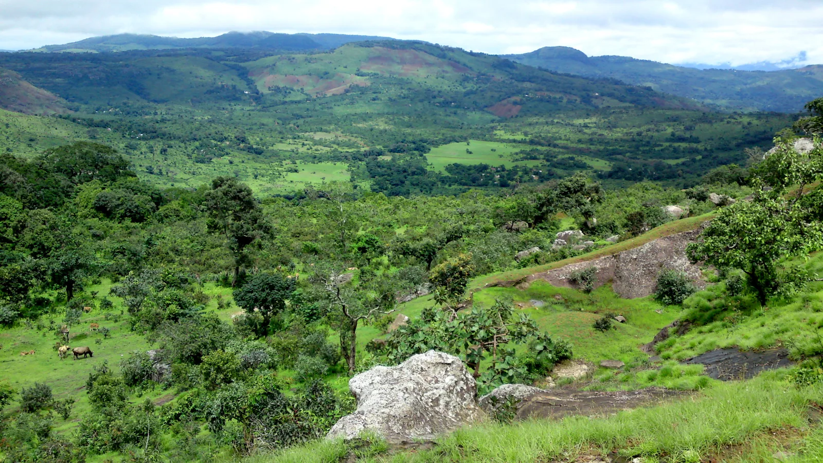 Travel view of Guinea