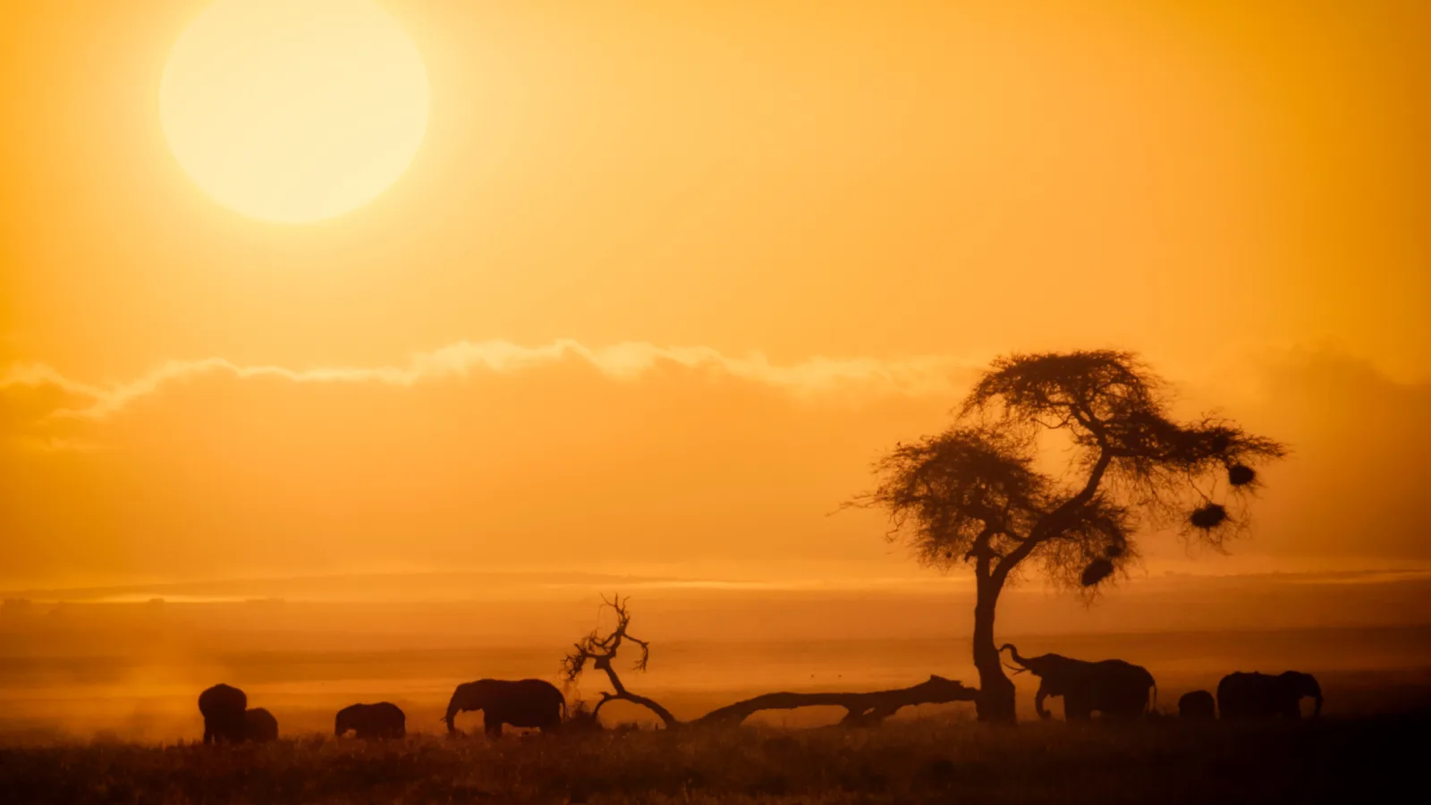 Travel view of Kenya