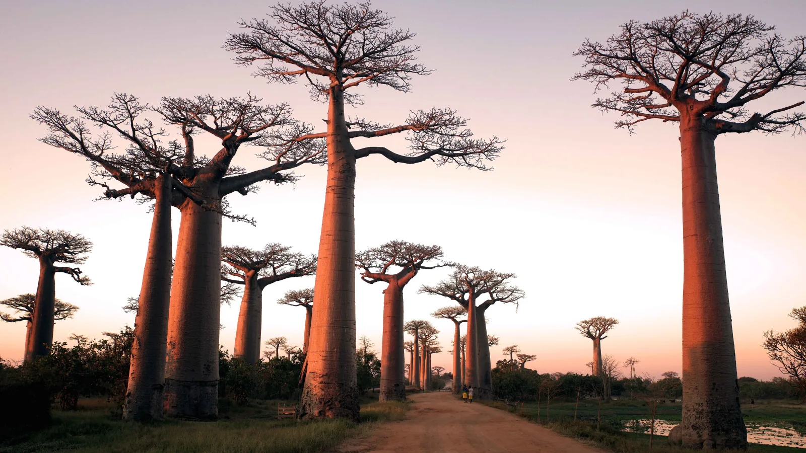 Travel view of Madagascar
