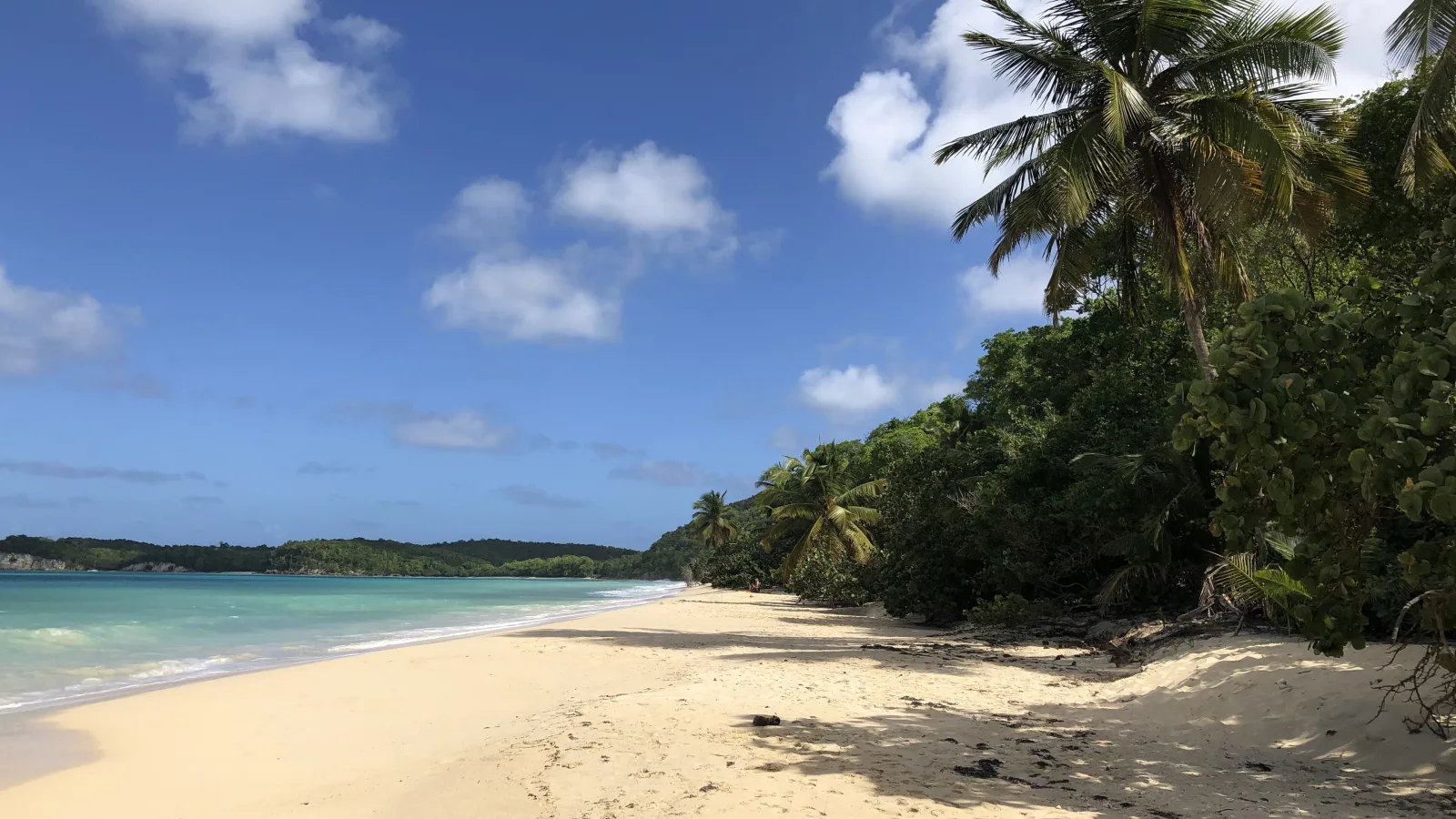 Travel view of Marie-Galante